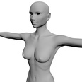 3d model the naked body of a female