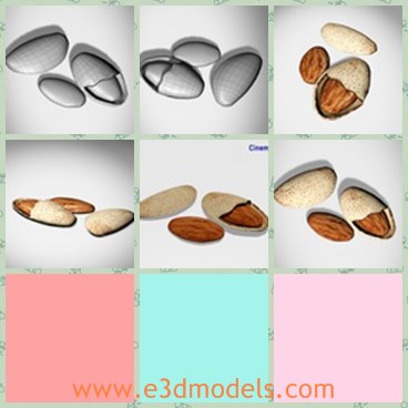 3d model almonds - This is a 3d model of the nuts,which is hard and full of high protein materials.The food is very good to body of both children and adults.