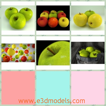 3d model apples - This is a 3d model about the apples,which is big and colorful.The apples have different textures for diffuse and a bump and a specular map is included.