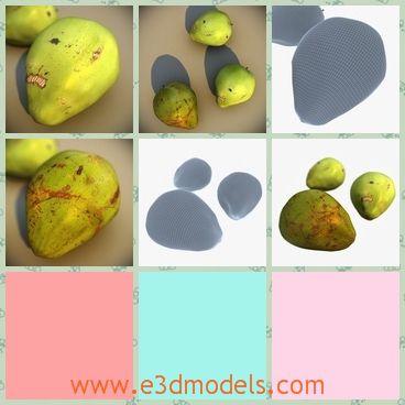 3d model the coconut - This is a 3d model of the coconut,which is the green type.The model is not ripe yet and the appearance is not very good to look.