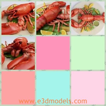 3d model the lobster - This is a 3d model of the lobster,which is the seafood popular in the table.The model is presented with lemons and lettuces.
