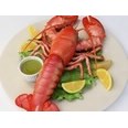 3d model the lobster