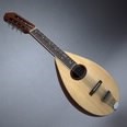 3d model the mandolin