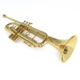 3d model the trumpet