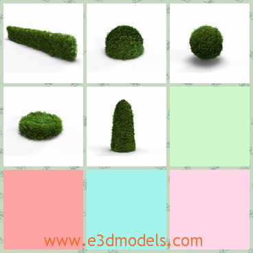3d model a bush in different shapes - This is a 3d model of a bush in different shapes,which is a set of 5 high quality models for your outdoor rendering projects.
