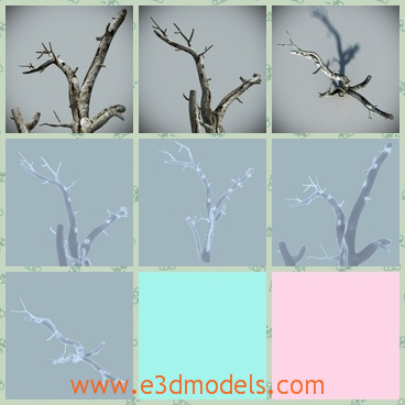 3d model dead tree - This is a 3d model about a dead tree without any leaf on it any more. The small dead twig covered with ice will be recovered nect year.