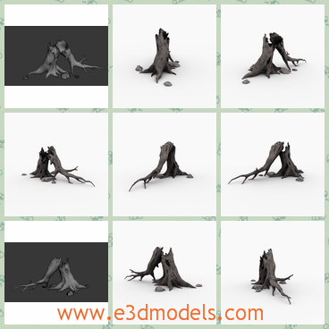 3d model of a dead tree - This is a 3d model which is about a dead tree. This is an old and thick tree but it has no leaves and it is broken.