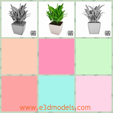 3d model of a green plant - Here is a 3d model which is about a green plant growing in a white cubic pot. This plant has many green leaves which look like a triangle.