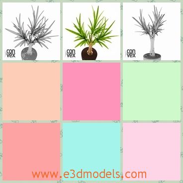 3d model of a potted plant - This is a 3d model which shows us a nice potted plant with thin sharp leave in tender green color. This plant is put in a small round pot.