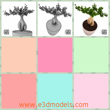 3d model of a potted tree - There is a 3d model which show us a small tree growing in a round pot. This tree has many small green leaves on its top.