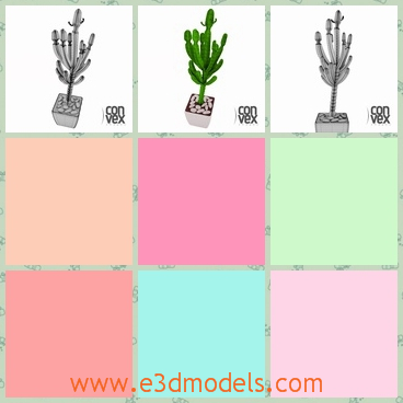 3d model of a small plant - There is a 3d model which is about a small plant growing in a white pot. This plant has several fleshy branches and many thorns growing along the branches.