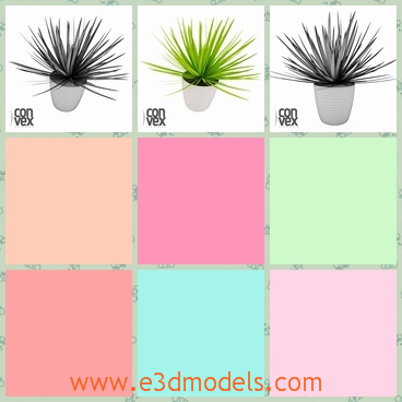 3d model of plant with sharp leaves - There is a 3d model which is about an exuberant plant in a white pot. This plant has many long and thin leaves which look like green needles.