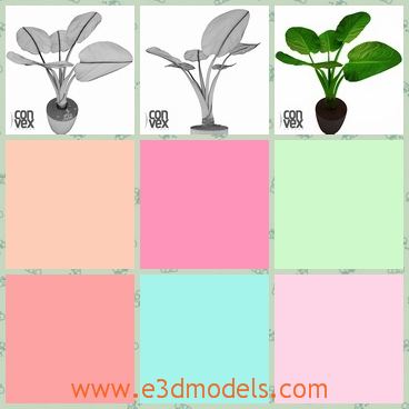 3d model of potted plants - This is a 3d model about potted plants which has pretty green leaves in oval shape.It is compatible with 3ds max 2008 or higher and many other formats.