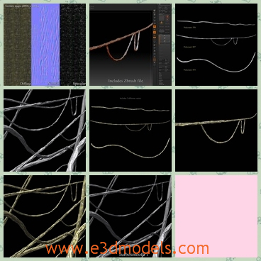 3d model of vines - This 3d model is about vines which include 3 variations of vine mesh ranging from polycount  528 to 874.