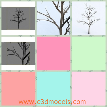 3d model the bare branch - This is a 3d model of the bare branch,which is made with standard materials.The model is tall and covered with snow.