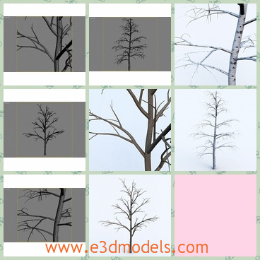 3d model the bare trees - This is a 3d model of the bare trees in winter,which is small and made in high quality.The model is common in winter.