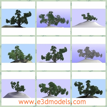 3d model the big tree on the hill - This is a 3d model of the big tree on the hill,which is green.The models are suitable for close-ups and are ideal for architectural visualization.