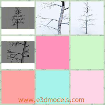 3d model the branch of the tree - This is a 3d model of the branch of the tree,which is bare and tall.The model is made in high quality.
