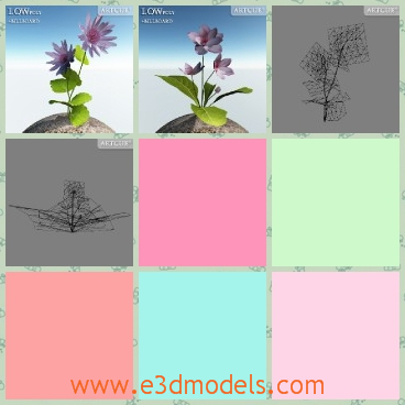 3d model the collection of the plant - This is a 3d model of the collectiong of the plant,which is cute and lovely to put in the house.