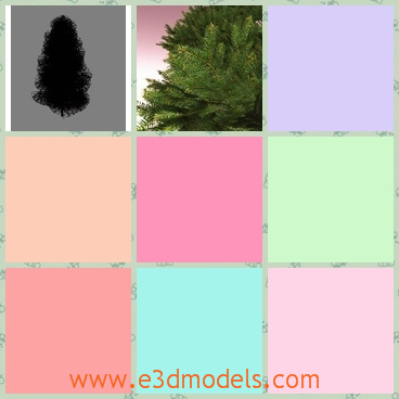 3d model the evertree in the garden - This is a 3d model of the evertree in the garden,which is actually a pine.The model is large and great.