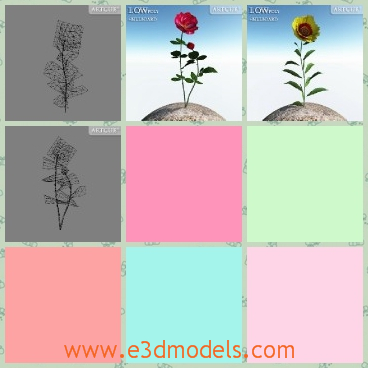 3d model the flowering flower - This is a 3d model of the flowering flower in the garden,which is standin steight and pretty.