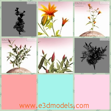 3d model the flowers in the wind - This is a 3d model of the flowers in the wind,which is orange and pretty.The model is blooming and the leaves are cute in the wind.