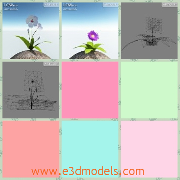 3d model the foliage and the flower - This is a 3d model of the foliage and the flowers,which are appeared in the same plant.The foliage is more pretty than the flowers.