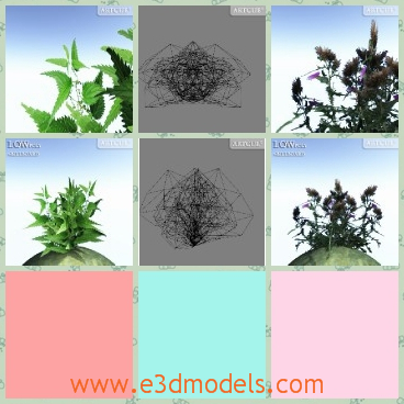3d model the foliage of the plant - This is a 3d model of the foliage of the plant,which is green and pretty.The model is made according to the real bases.