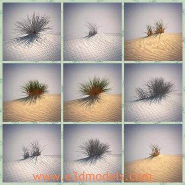 3d model the grass - This is a 3d model of the grass,which is planted in the desert.The  model is nicely organized, has correct names for all objects and has good topology.