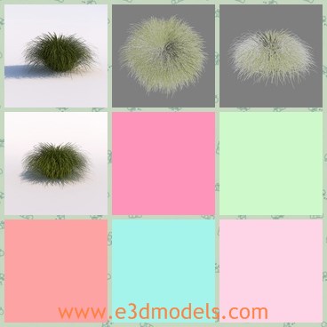 3d model the grass - This is a 3d model of the grass,which is ready to printabe.The grass is loosing and common in real life.