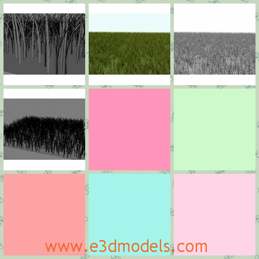 3d model the grass - This is a 3d model of the grass,which is the meadow field in the large farm.The model is the great terrain in the area.