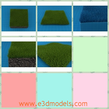 3d model the grass - THis is a 3d model of the grass,which is blooming and green.The model is pretty great when it is in summer.
