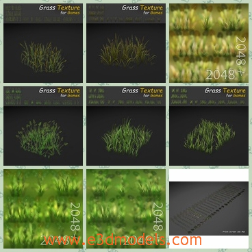 3d model the grass in the yard - This is a 3d model of the grass in the yard,which is the thin turf.If you are interested for an only specific arrangement, you can move very easily the group in your own texture.