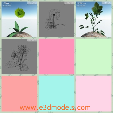 3d model the green flower - This is a 3d model of the green flower with green foliage,which is rare in the garden,even in the earth.