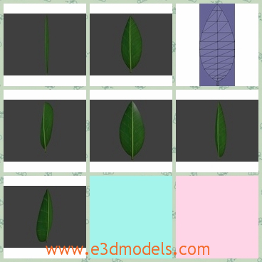 3d model the green leaf - This is a 3d model of the green leaf,which is small and fine.The model is made according to the real base.