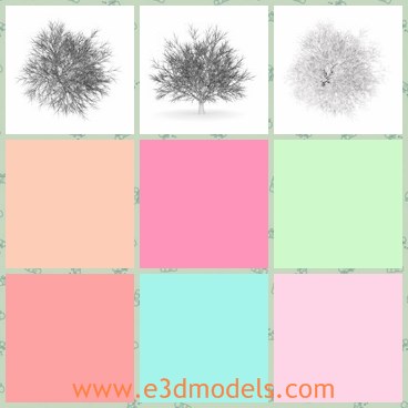 3d model the hornbeam in winter - This is a 3d model of the hornbeam in winter,which has snow on the top.The model is detailed.