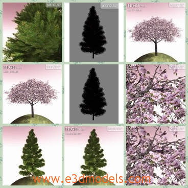 3d model the leaves on the tree - This is a 3d model of the leaves on the tree,which is blooming and the leaves are flowering.