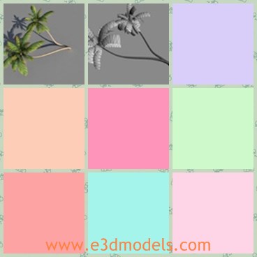 3d model the palm tree - This is a 3d model of the palm tree,which is green and common in the life.The model is made with high quality.