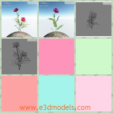 3d model the pink flowers - This is a 3d model of the pink flowers,which is curved a little.The model is planted in a billboard.