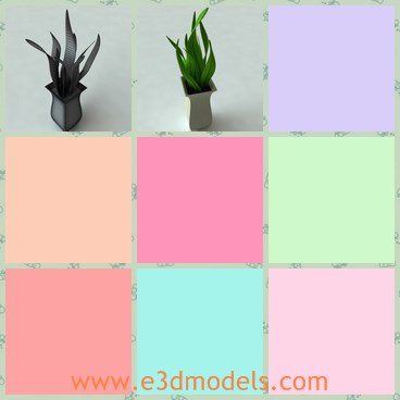 3d model the plant - This is a 3d model of the plant in the pot,which is small,charming and cute.The model is made in details.