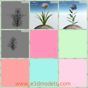 3d model the plant in the game - This is a 3d model of a kind of plant in the game,which is not so obvious to see but the plant is common in the daily life.