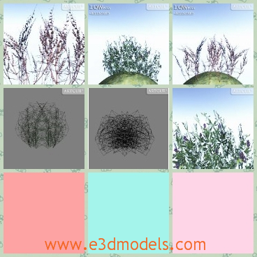 3d model the plant weeds on the ground - This is a 3d model of the plant weeds,which is showed in the top of a hill and the herbs are useful in our daily life.
