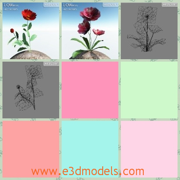 3d model the plant with flowers - This is a 3d model of the plant with flowers,which are low-poly models with detailed textures and we also included an alphamapped billboard.