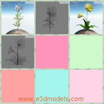 3d model the plant with yellow flowers - This is a 3d model of the plant with yellow flowers,which are enjoying the sunshine and the model is pretty to be printed.
