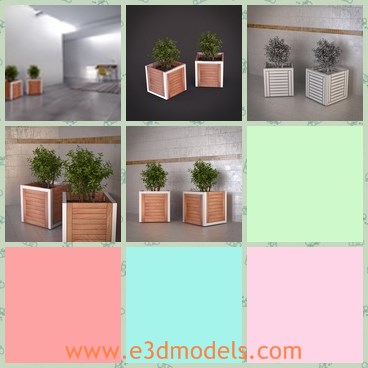 3d model the plants - This is a 3d model of the plants in the room,which is small and charming.The model has real names for easy navigation in scene.