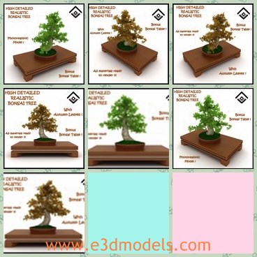 3d model the potted plant - This is a 3d model of the potted plant,which is small and pretty.The plant is made in details.