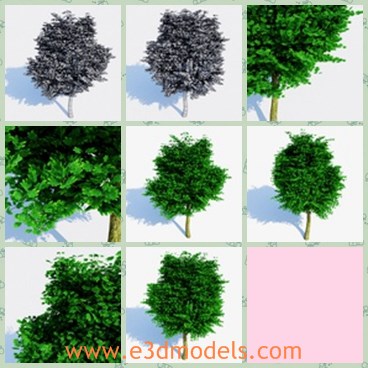 3d model the realistic tree - This is a 3dmodel of the realistic tree,which will not give you any problems during usage because I know you can