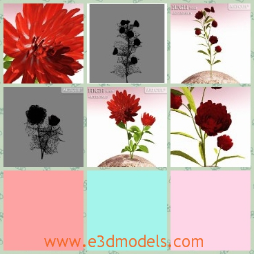 3d model the red flower - This is a 3d model of the red flower with leaves,which is flowering and ready to moved to the other places.