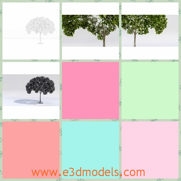 3d model the summer tree - This is a 3d model of the summer tree,which is green and along on the ground.The model looks  like a mushroom.