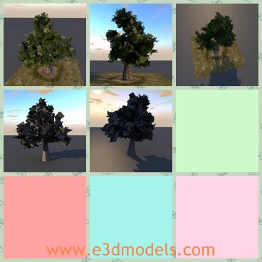 3d model the tree - This is a 3d model of the tree in green,which is flourish and big.The truck of the tree is thick and can be used to construct houses.